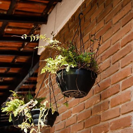 Casa Ka'A Hostel ウバトゥバ エクステリア 写真