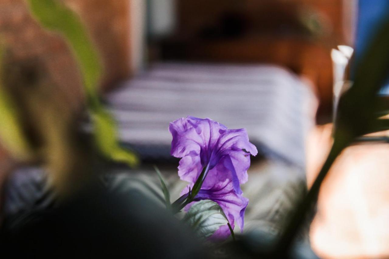 Casa Ka'A Hostel ウバトゥバ エクステリア 写真